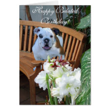 Cartão tardivo feliz do buldogue do aniversário