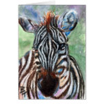 Cartão vazio do retrato ACEO da zebra
