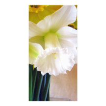 Cartões de fotos brancos do Daffodil Cartoes Com Foto Personalizados