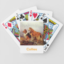 Cartões de jogo ásperos do cão do Collie