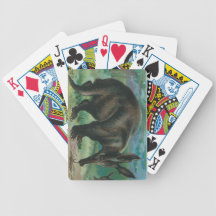 Cartões de jogo do porco-da-terra cartas de baralho