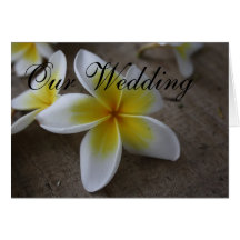 Cartões do convite do casamento do Frangipani