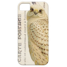 caso do iphone 5. Coruja do branco do vintage iPhone 5 Capas