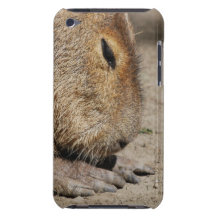 Caso do iTouch do Capybara Capas iPod Touch