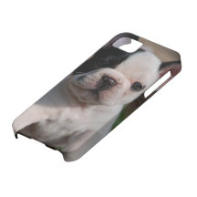 CASO IPHONE5 iPhone 5 CAPAS