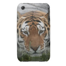 Caso iPhone 3 Capas