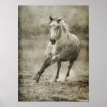 Cavalo andaluz de galope rústico pôsteres