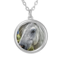 Cavalo bonito bijuteria