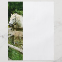 Cavalo branco no prado panfletos