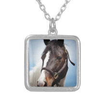 Cavalo Colares Personalizados