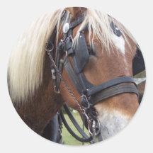 Cavalo de esboço adesivos redondos