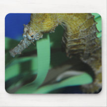 Cavalo de mar mouse pads