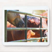 Cavalo engraçado mouse pad