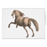 Cavalo espanhol - cartão