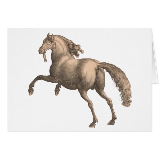 Cavalo espanhol - cartão