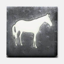 Cavalo Imã