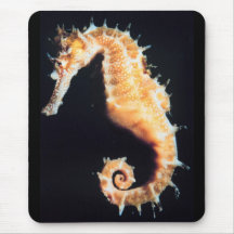 Cavalo marinho - sp. do hipocampo mousepads