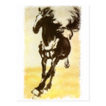 Cavalo preto cartao postal
