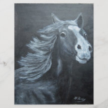 cavalo selvagem modelo de panfleto
