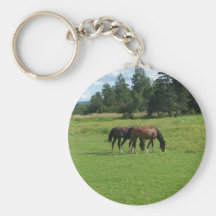 Cavalos Chaveiro