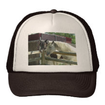 Cavalos do celeiro bone
