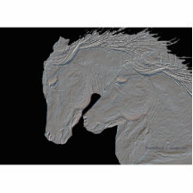 Cavalos gravados da prata do olhar fotoesculturas