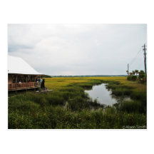 Cenário de Florida Cartoes Postais