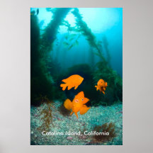 Cenário subaquático posters