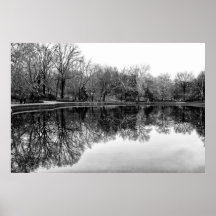 Central Park do inverno, paisagem de NYC Posters