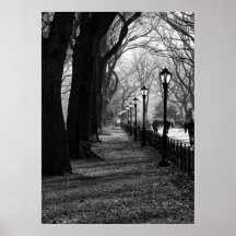 Central Park, Nova Iorque Poster