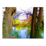 Central Park, NY Cartao Postal