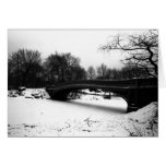 Central Park NYC do inverno da ponte do arco Cartão