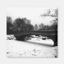 Central Park NYC do inverno da ponte do arco Imã