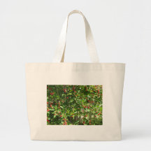 Cerejas vermelhas da torta bolsa