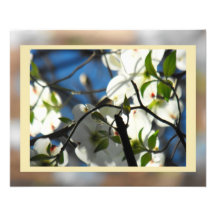 Céus #3 do Dogwood Foto Arte