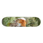 Chacal e antílope no parque de Yellowstone Skate Personalizado