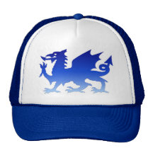 chapéu azul do dragão boné