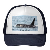 chapéu da baleia de assassino da orca - é um assas bone