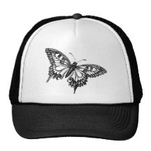 Chapéu da borboleta bonés