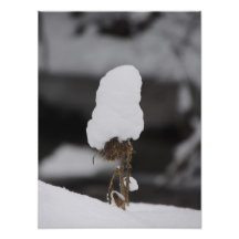 Chapéu da neve impressão fotográficas