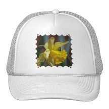 Chapéu de basebol amarelo do Daffodil Bones