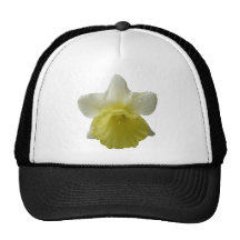 Chapéu do Daffodil do gotejamento Bone