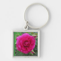 Chaveiro cor-de-rosa de Floribunda