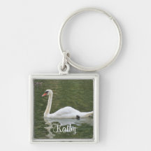 Chaveiro da cisne da natação