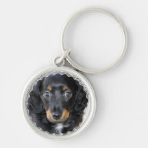 Chaveiro do cão de filhote de cachorro de Daschund