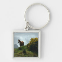 Chaveiro do cavalo
