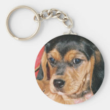 Chaveiro do filhote de cachorro do racum