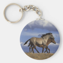 Chaveiro dos cavalos