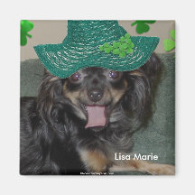 Chihuahua bonito adorável de Lisa Marie Imãs