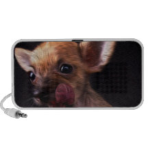 Chihuahua Caixinhas De Som Para Laptop